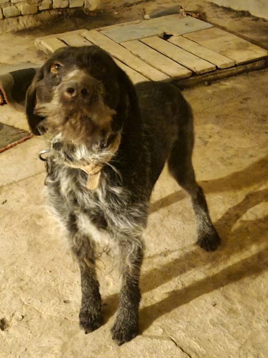 Рабочи кабель для вязки