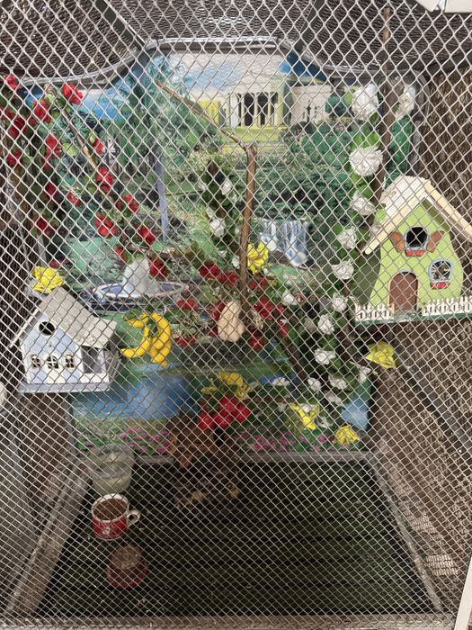 Құс уясы(сетка для птиц)