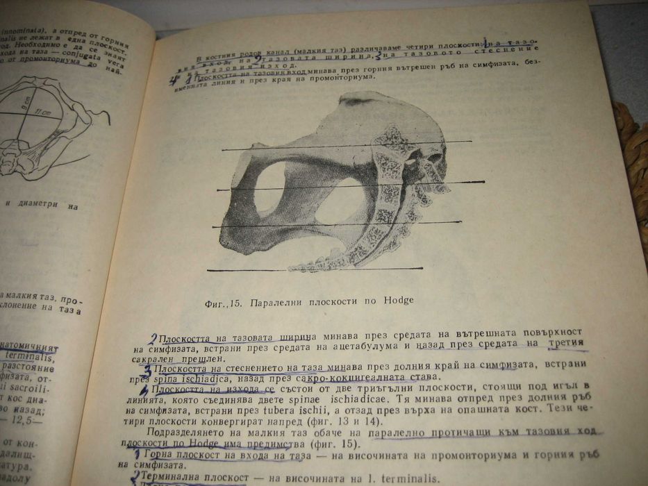 Акушерство - 1978 г.