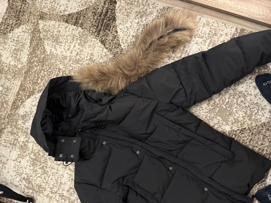 Яке canada goose