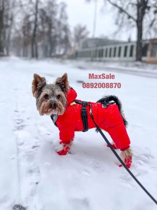 Зимно яке за куче елече худи сако палто с пухена шапка червено