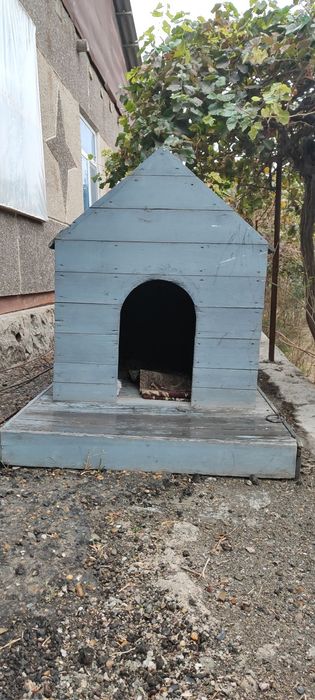 Домик для хороших собак в хорошем состоянии