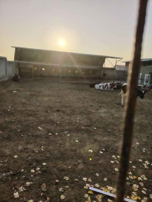 Срочно продается земля с готовым бизнесом 8 соток