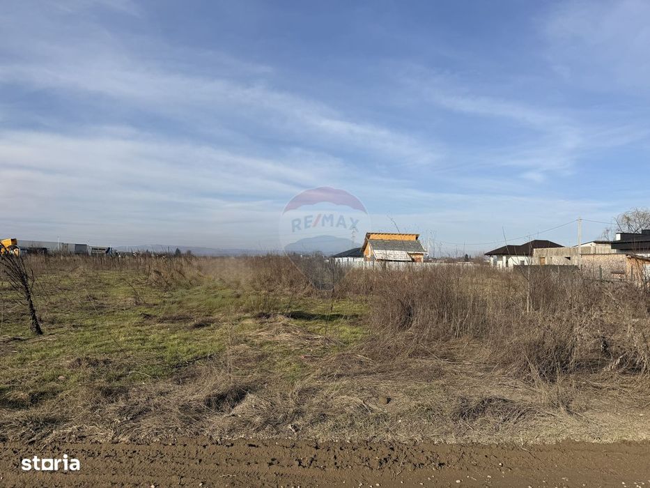 Teren intravilan 7478 mp Bucov, parcelabil, ideal investiție