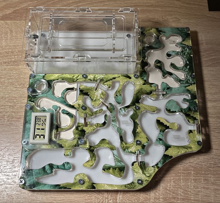 большая муравьиная ферма