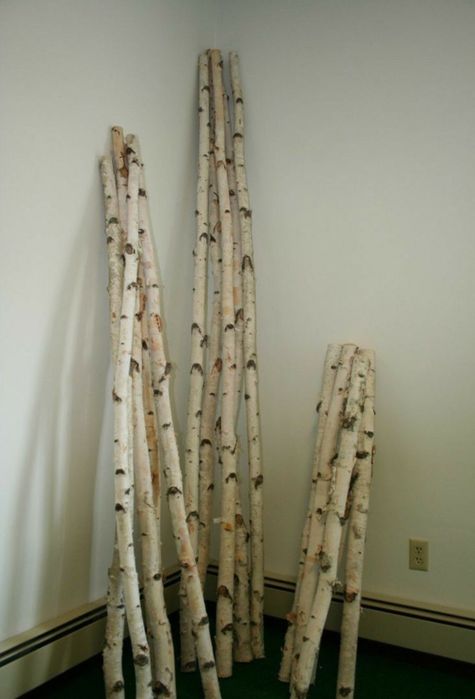 Mesteacan trunchiuri , crengi , rondele pt design sau aranjamente