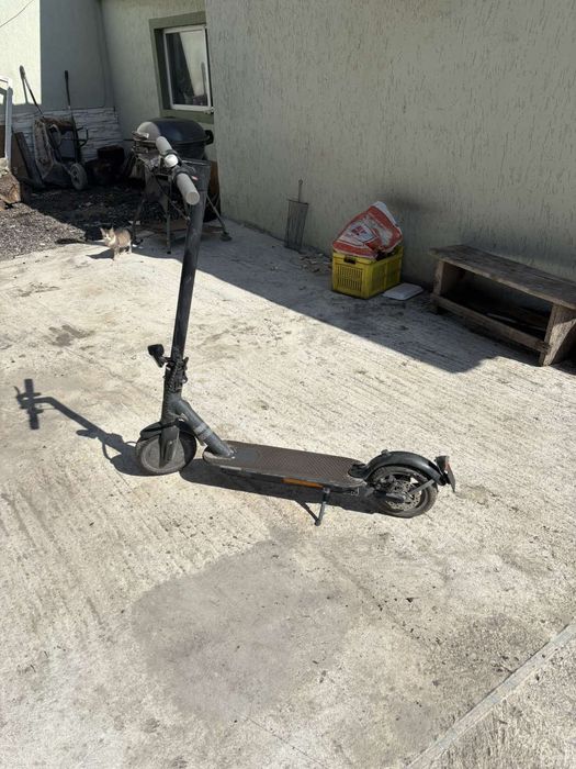 Тротинетка Doc.green