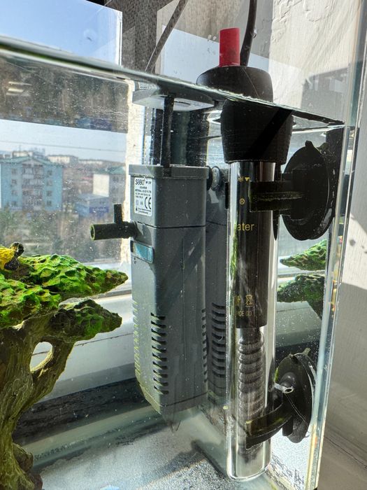 2 черепахи с аквариумом