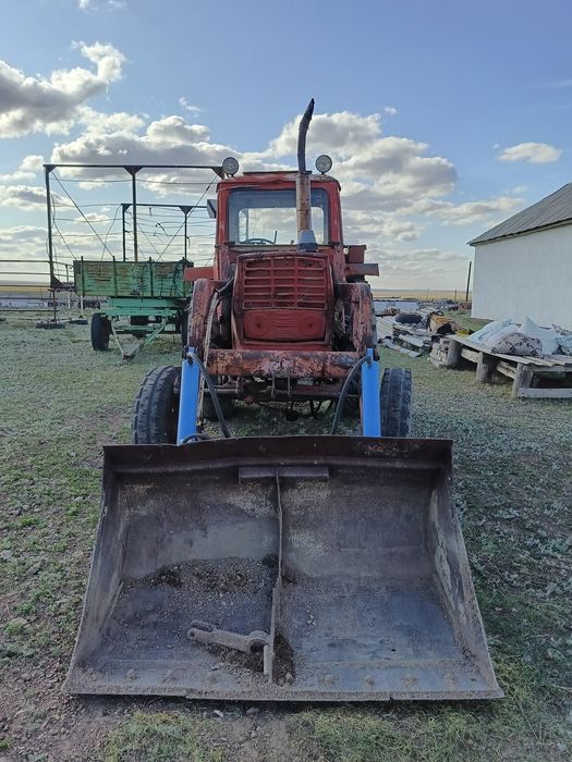 Продать Трактор ЮМЗ