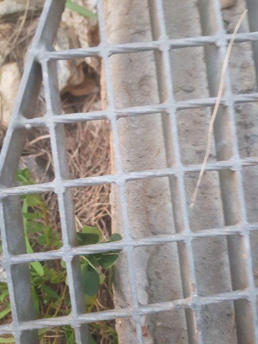 Grătare pentru scurgere