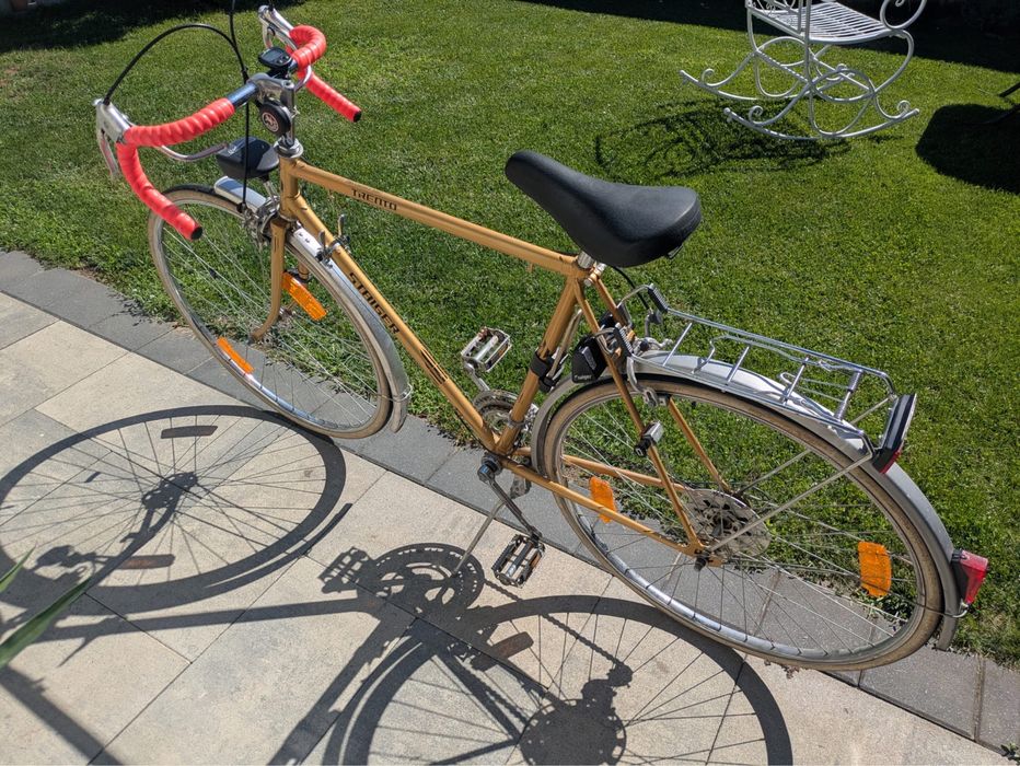 Bicicleta Semicursiera Steiger