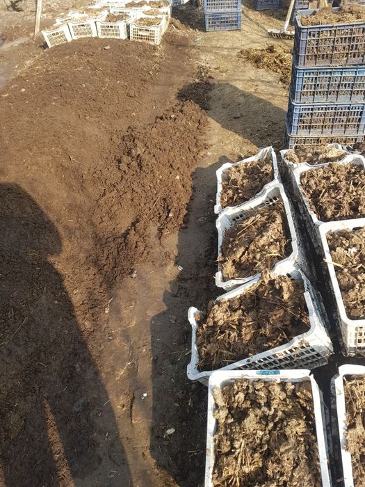 Биогомус органоминеральное удобрение. По технологии Игонина А.М.