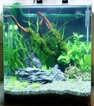 Обслуживание аквариума