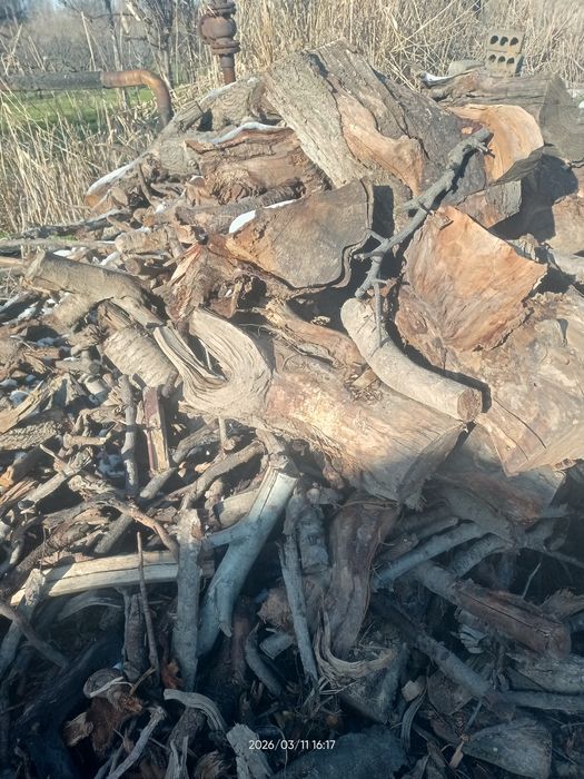 Quruq oʻtin sotiladi mevali daraxt oʻtini