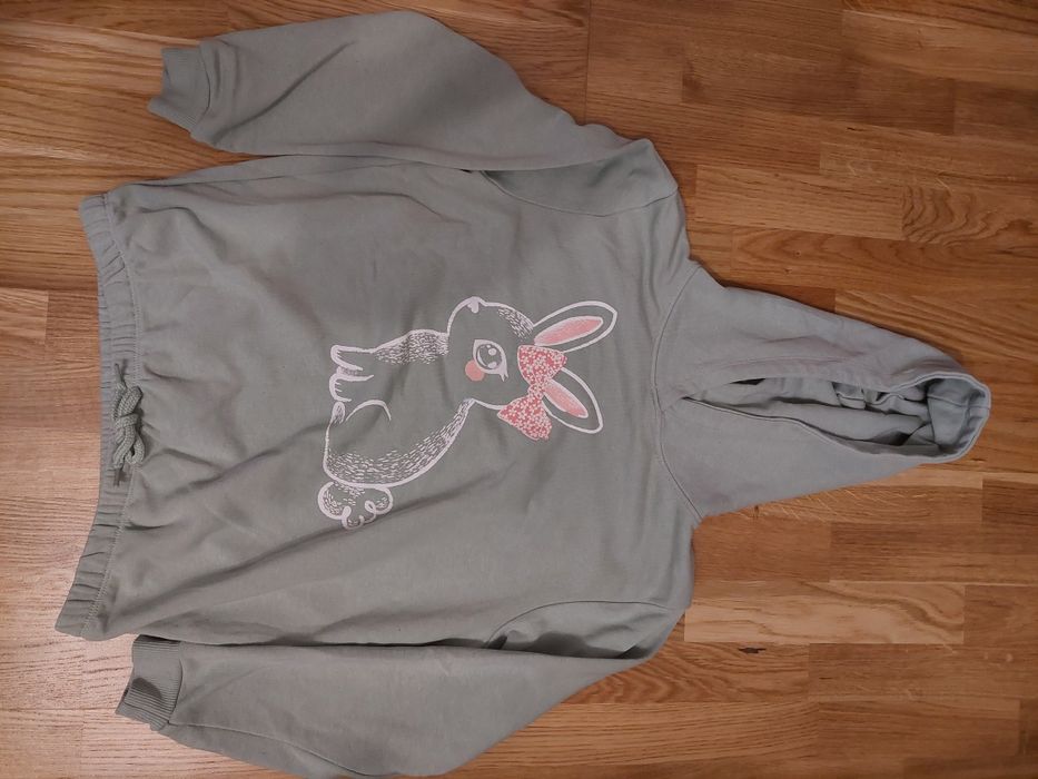 De vânzare lor 2 hanorace,  mărimea 134-140 cm