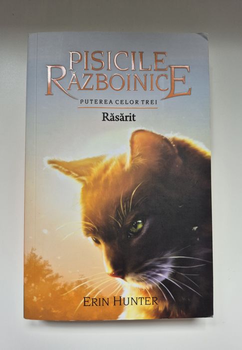 Pisicile Războinice - Puterea Celor Trei