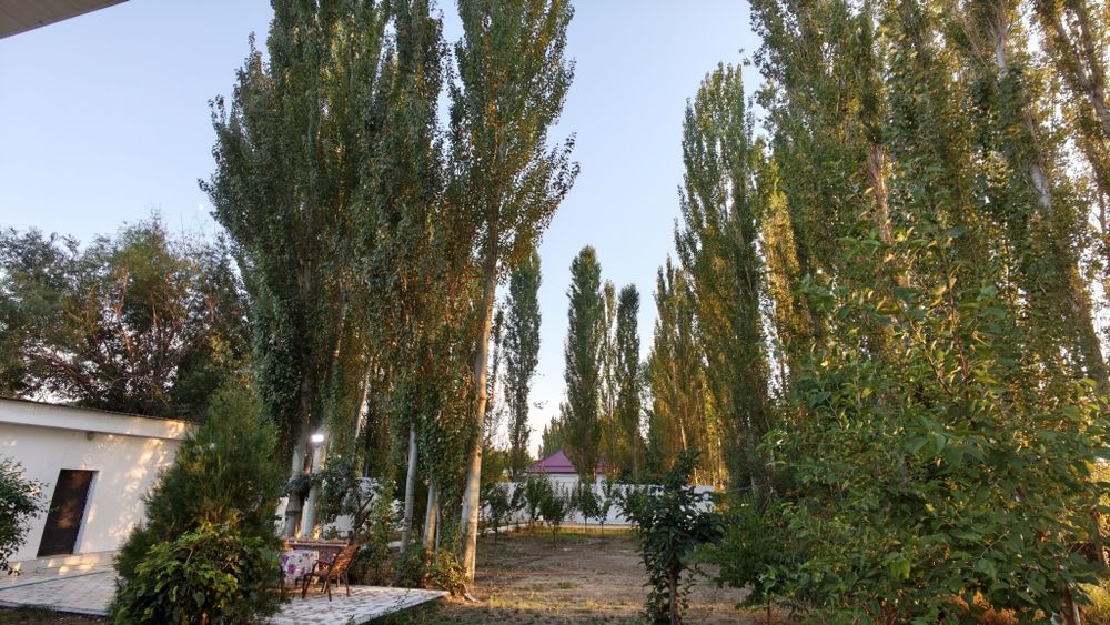 Gazalkentda euro dacha sotiladi yer narhida.