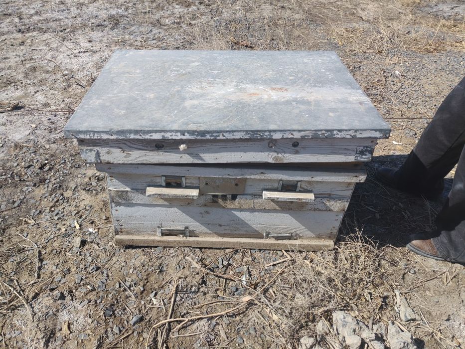 Пал ара уясы сатамын.