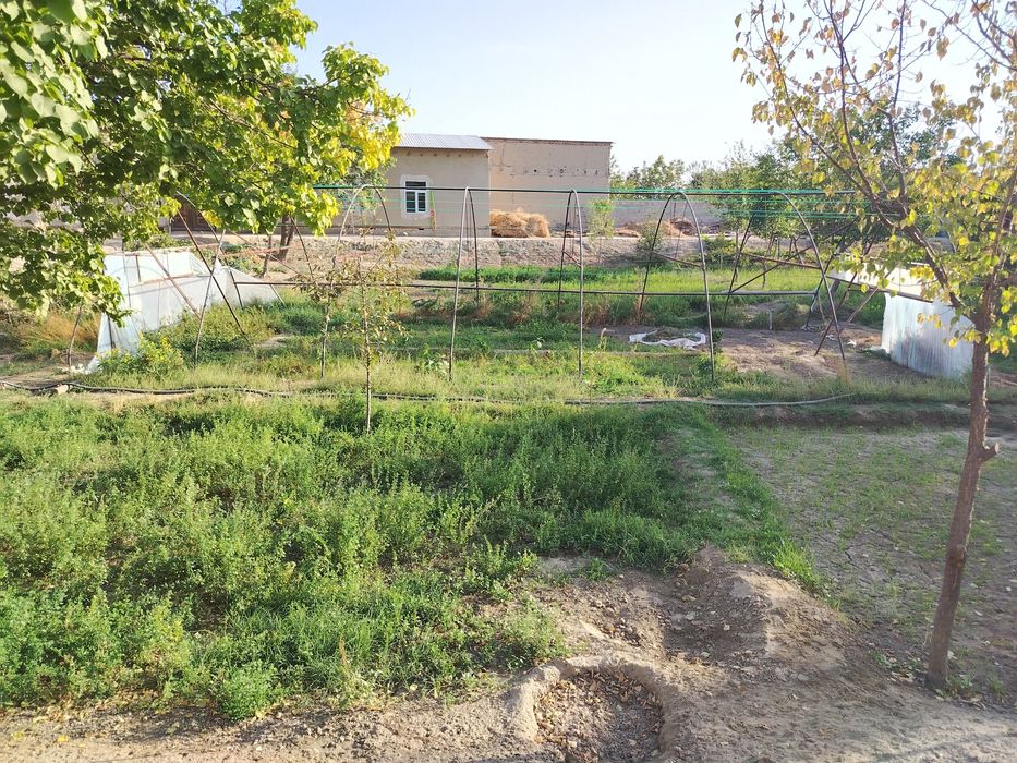 Tayyor parnik sotiladi