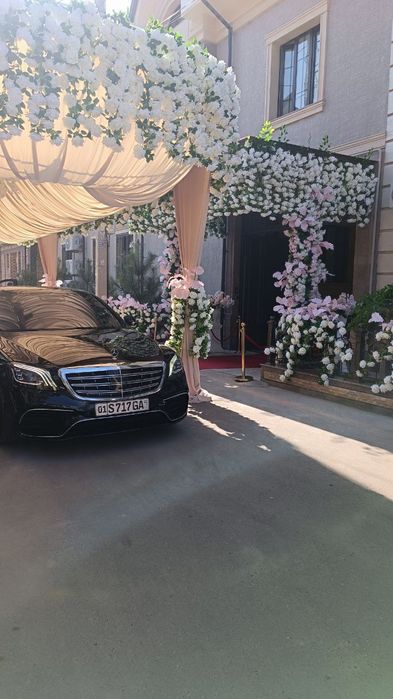 Oformleniya/Afarmleniya arzon sifatli toza