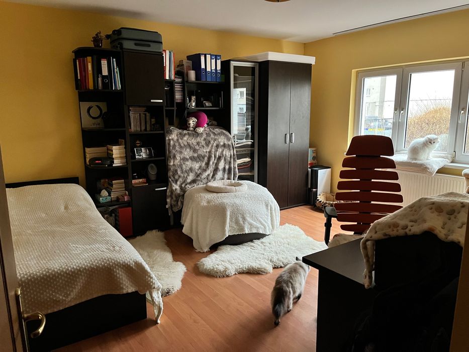 Vânzare apartament Cluj