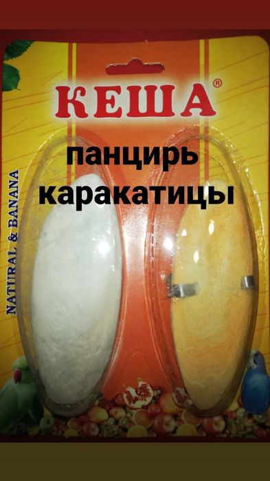 в продаже всё для улиток ахатин