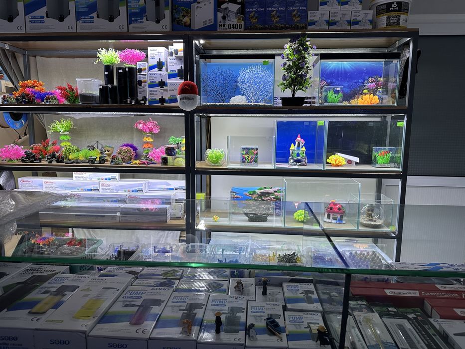 Zoomagazin Bek Aquarium