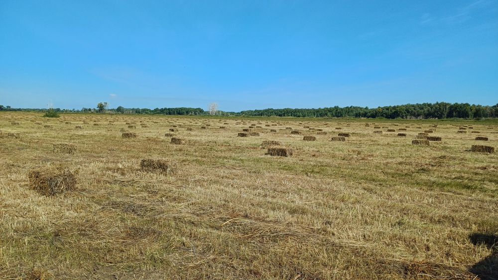 Продам  тюковый  пресс Sipma .