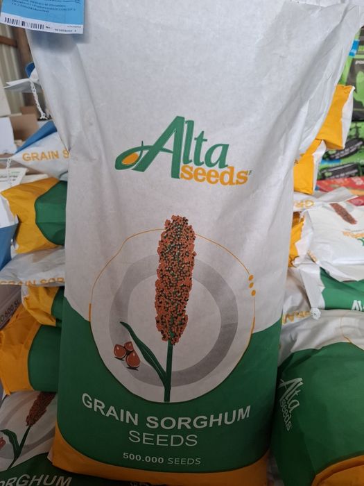 Samanta sorg Sentinel IG