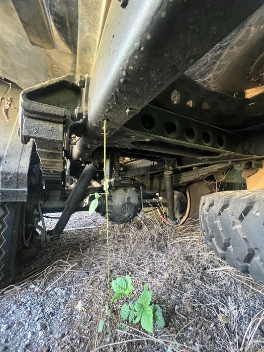 Ifa W50L за животни