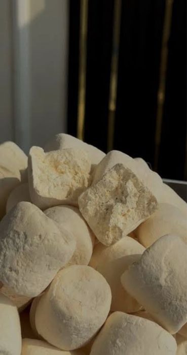 Toshqurt qashqadaryo