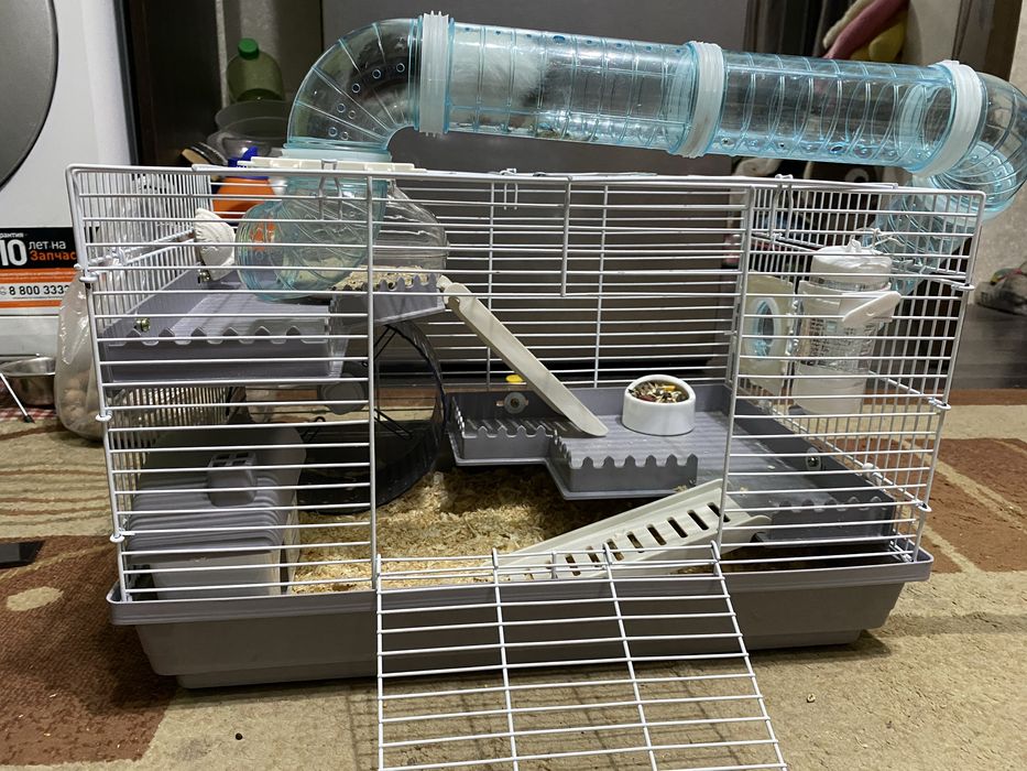 Клетка с хомяком