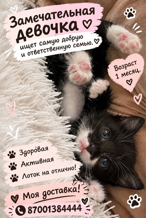 Малышка в добрые руки