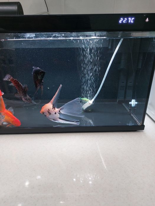 Аквариум 40 л с рыбками