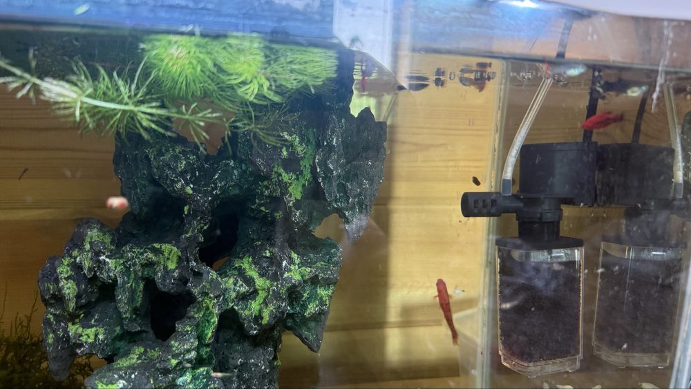 Аквариум 30л в комплекте