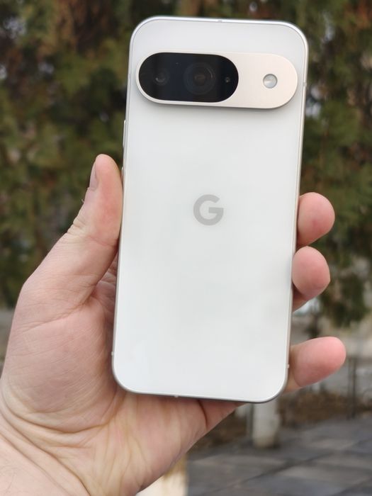 Google pixel 9 SEM e SEM