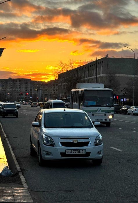 Кобалт сотилади  2024