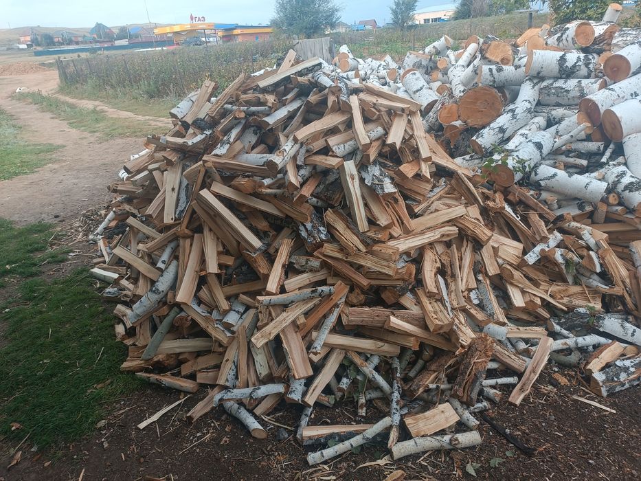 Продам  дрова  береза