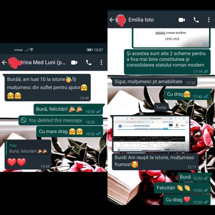 Meditatii Online BAC Istorie