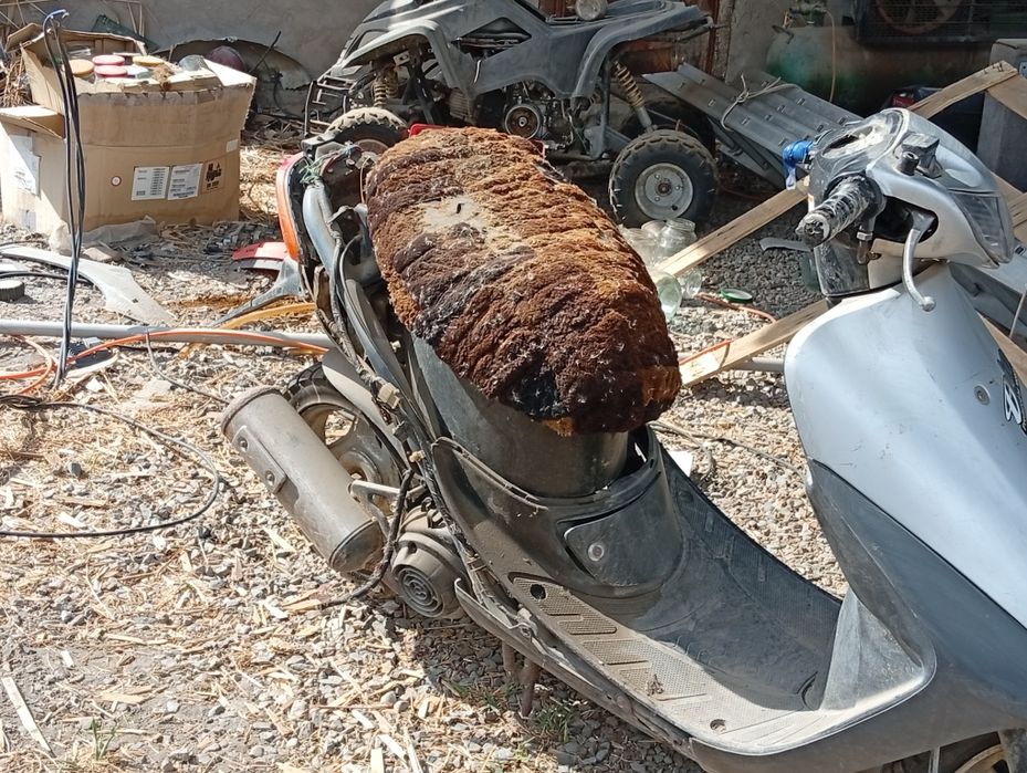 Продам мопед Хонда дио