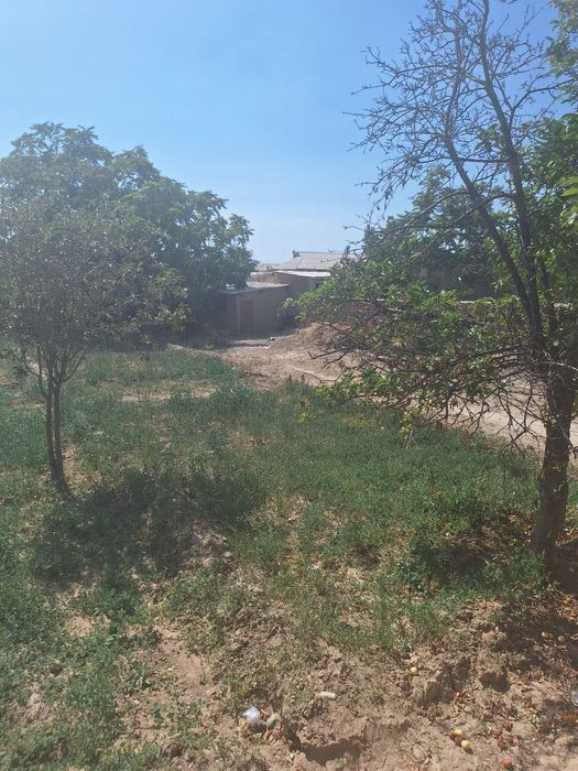 Sayfullayev sohib 11