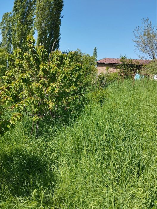 Йер сотилади 16 сотих