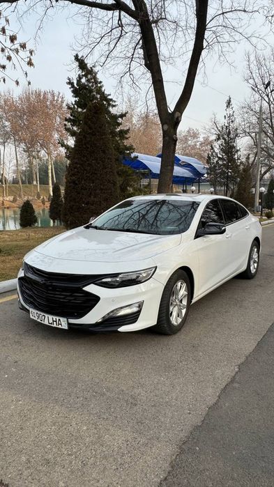 Malibu LT turbo 2019