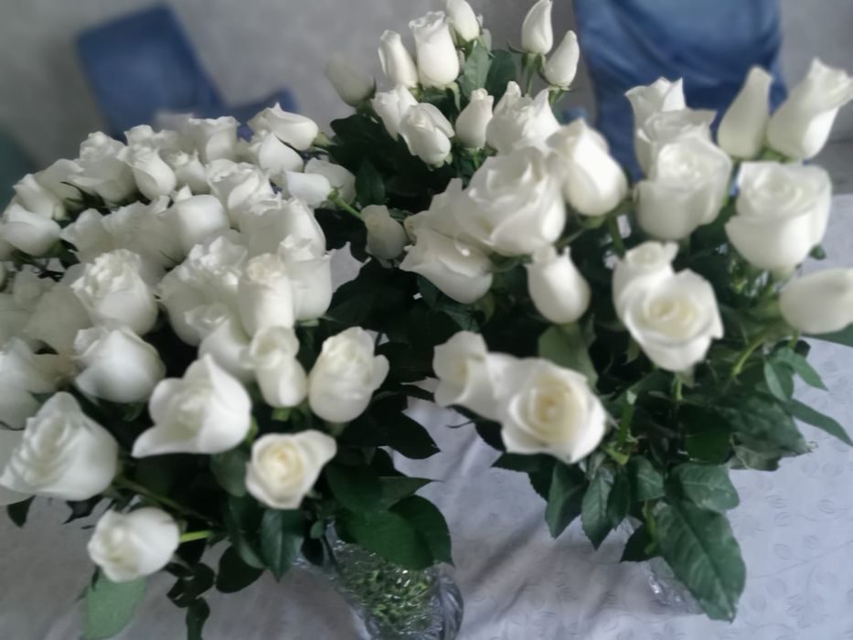 Белые  розы 150 штук