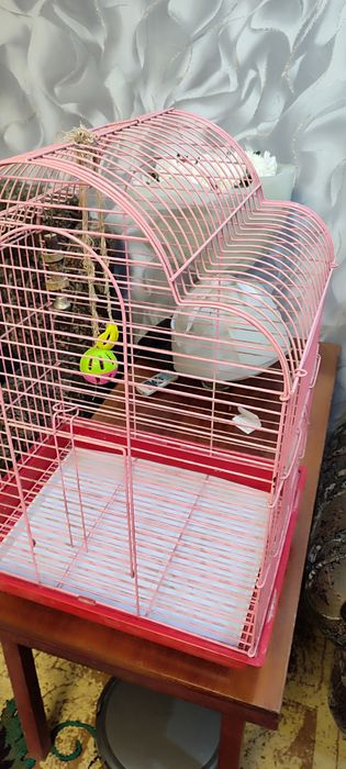 Продам клетку для попугаев