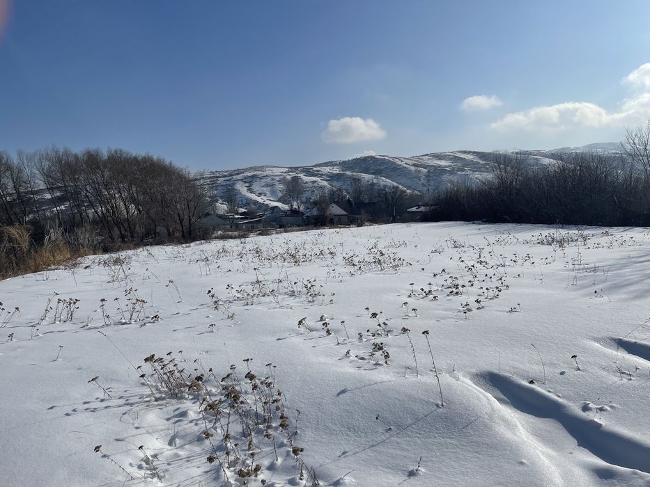 Земля 10 соток