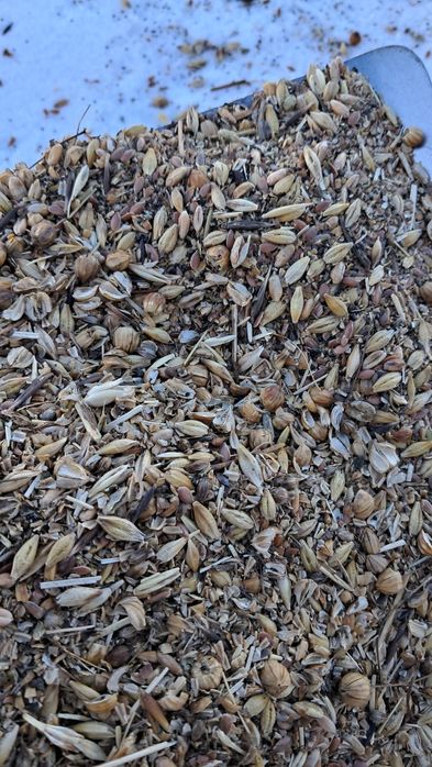 Сечка гороха  пшеница, зерноотходы