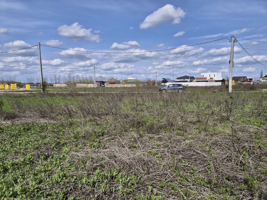 Teren intravilan 741 mp – Casa cu Tei 2, Cocani / Crevedia