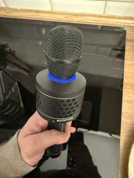 Microfon cu difuzor si mp3