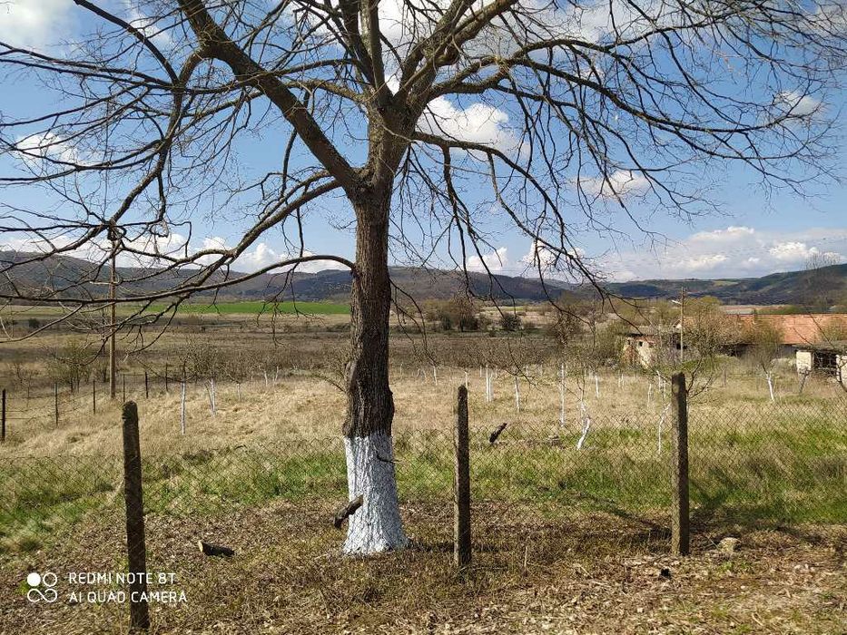 Продава се Парцел в с. Байкалско, Област Перник - 2084 кв.м за 10 €/кв.м - Снимка #6